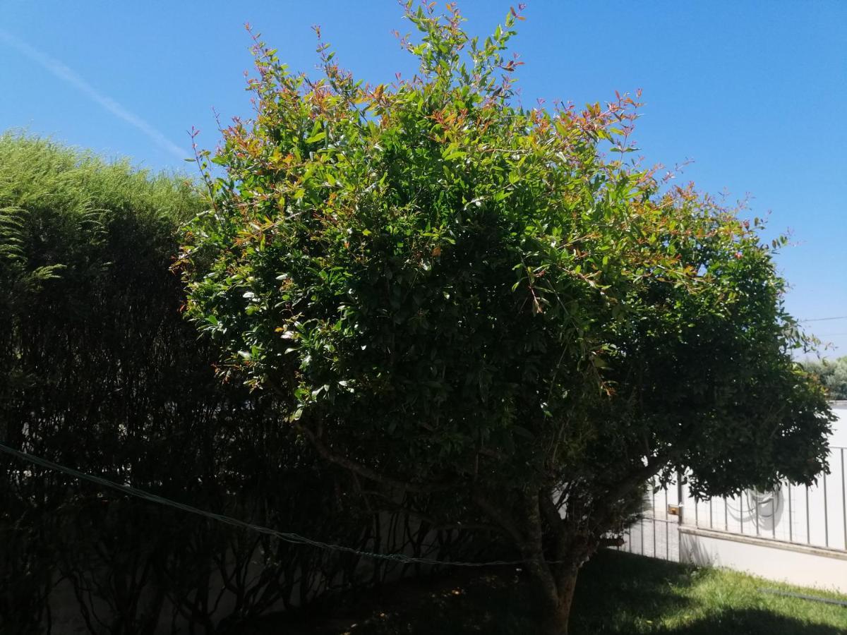 Royalheronhouse 维亚纳堡 外观 照片